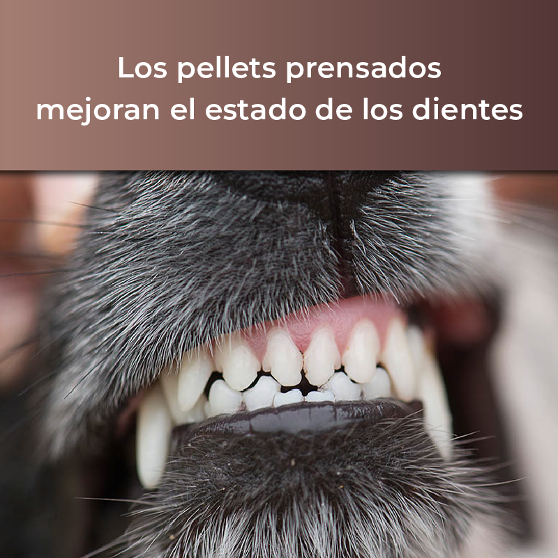 Pienso prensado natural - cachorros - 5 KILOS