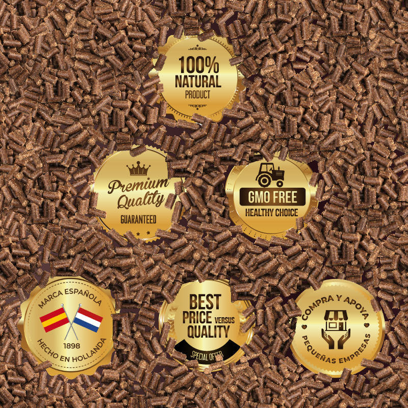 Pienso natural para perros seniors